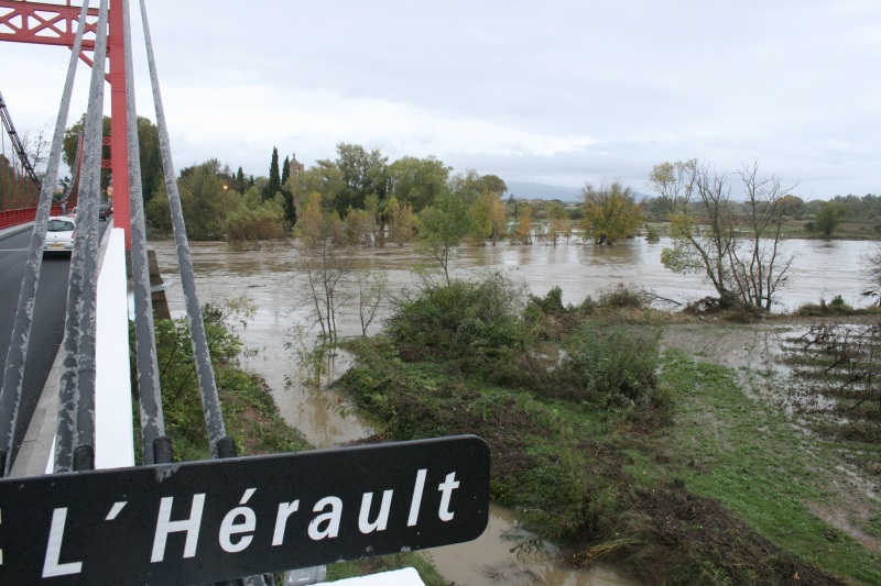 Inondation herault